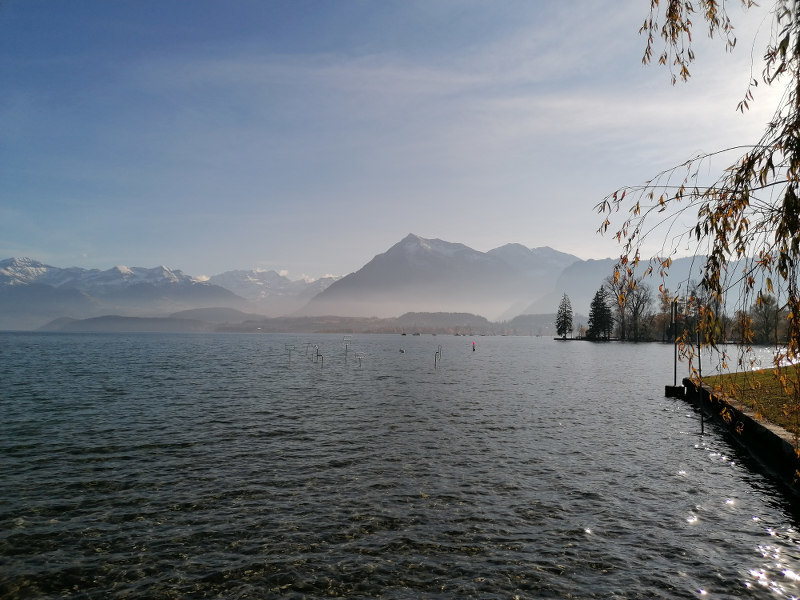IMG_20211111_140910_Thuner_See_der_Niesen_800x600 IMG_20211111_140910_Thuner_See_der_Niesen_800x600